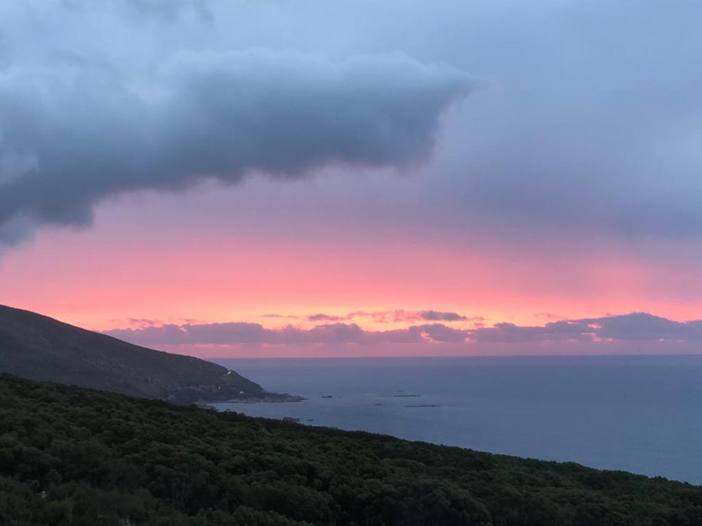 Camps Bay Blue Self-Catering Studios Cape Town Luaran gambar